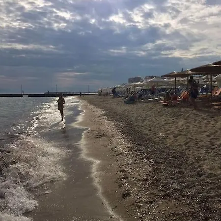 Vakilis *