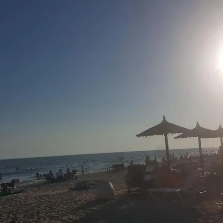 Vakilis *